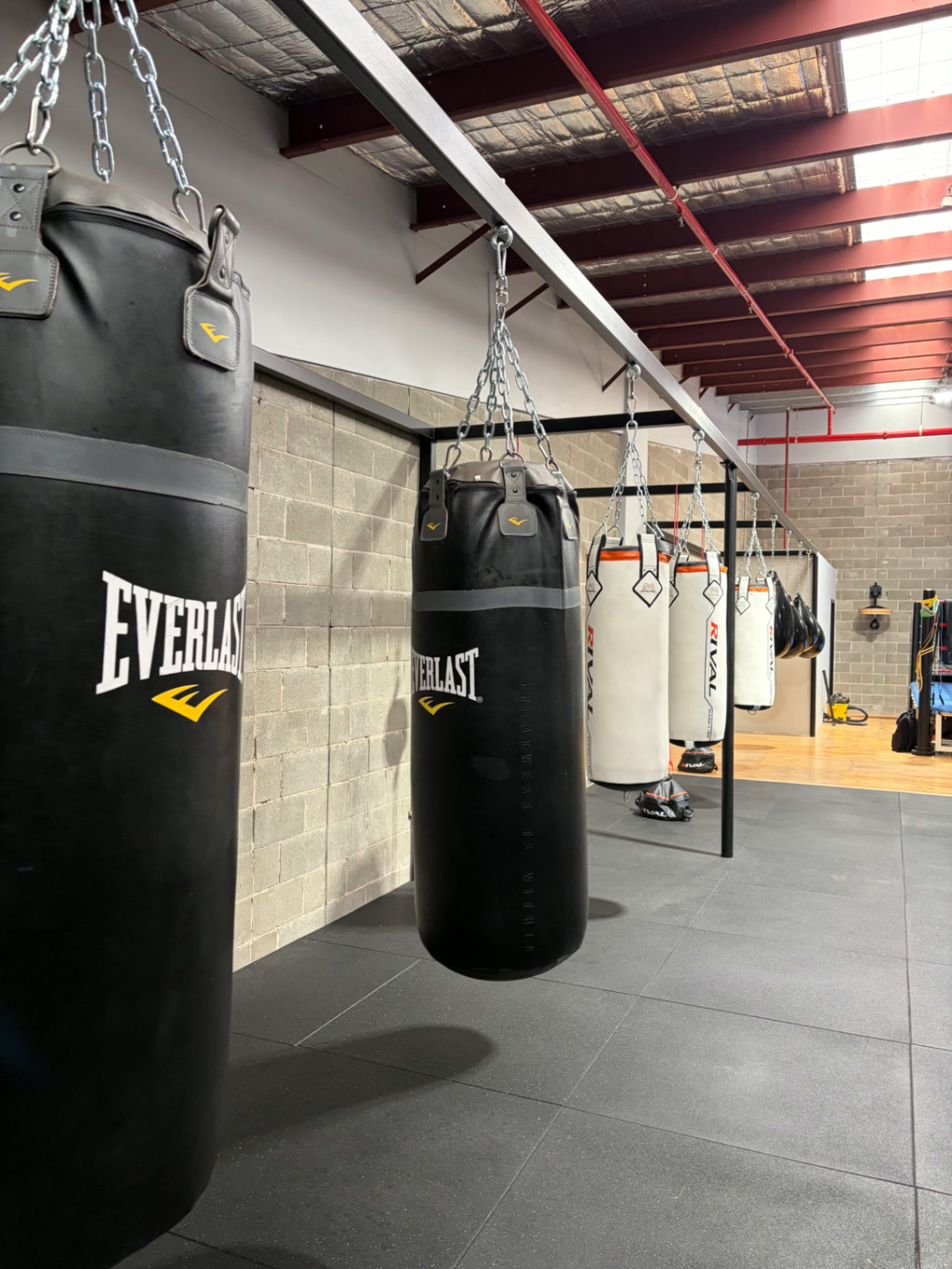 Open Gym